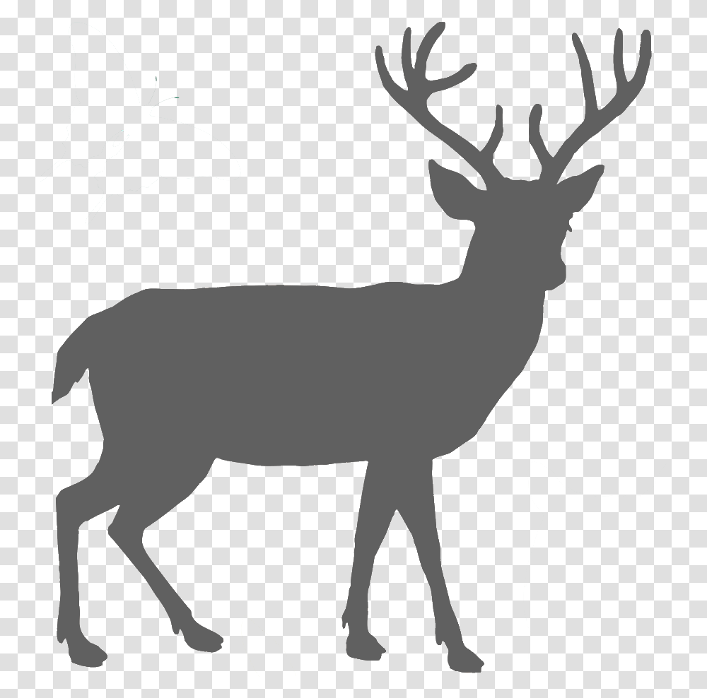 Deer Black And White, Logo, Trademark Transparent Png