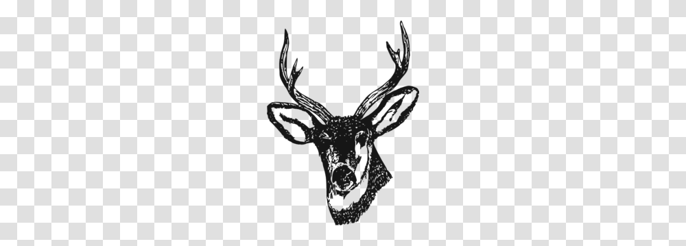 Deer Black Clip Art, Stencil, Silhouette, Antler Transparent Png