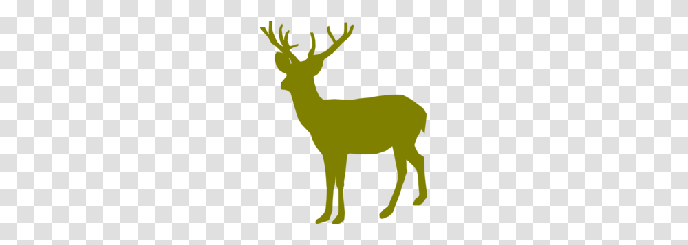 Deer Blackout, Antelope, Wildlife, Mammal, Animal Transparent Png