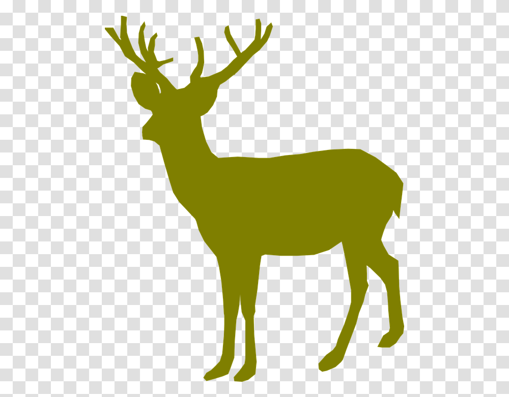 Deer Buck Male Deer Green, Wildlife, Mammal, Animal, Antelope Transparent Png