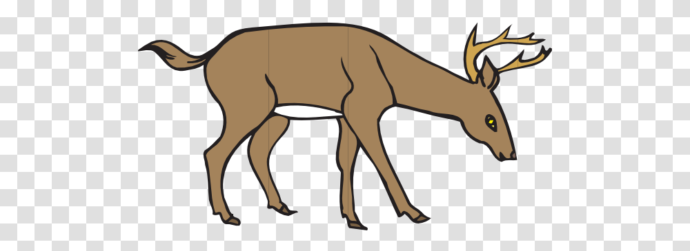 Deer Bucks Cliparts, Wildlife, Animal, Antelope, Mammal Transparent Png