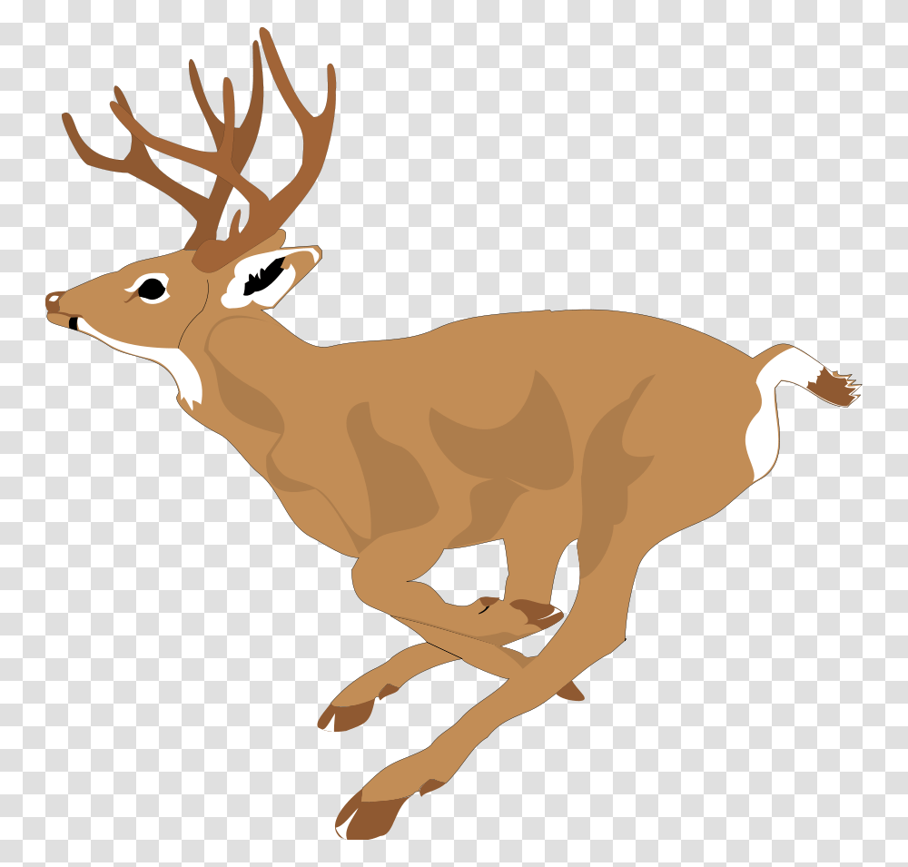 Deer Bucks Cliparts, Wildlife, Mammal, Animal, Elk Transparent Png