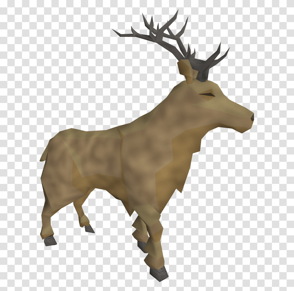 Deer, Bull, Mammal, Animal, Wildlife Transparent Png