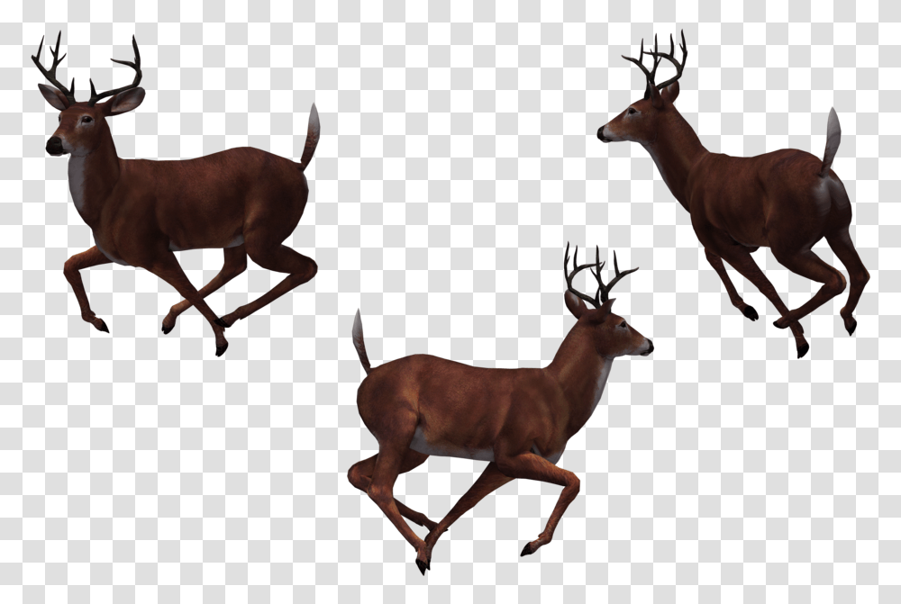Deer Cartoon Group Of Deer, Antelope, Wildlife, Mammal, Animal Transparent Png