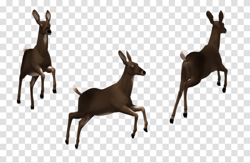 Deer Clip Art, Antelope, Wildlife, Mammal, Animal Transparent Png