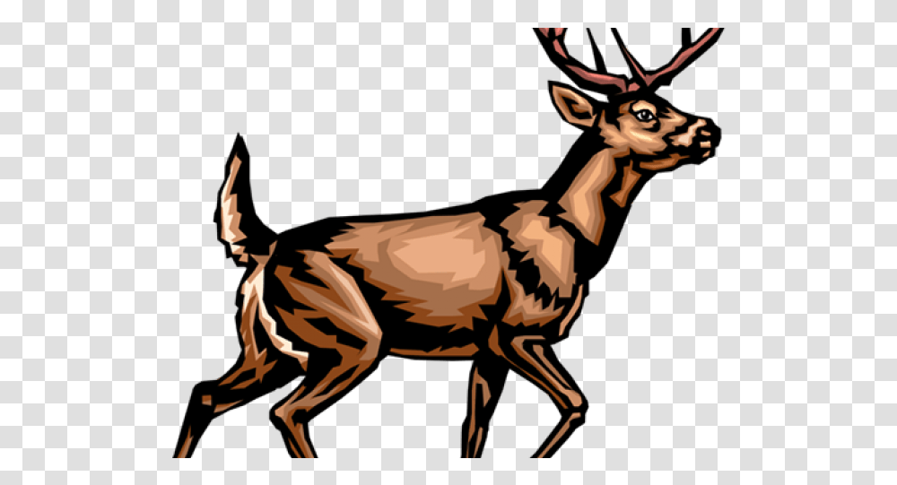 Deer Clip Art, Elk, Wildlife, Mammal, Animal Transparent Png