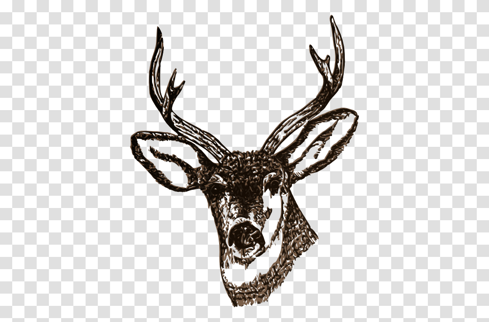 Deer Clip Art For Web, Antler, Elk, Wildlife, Mammal Transparent Png