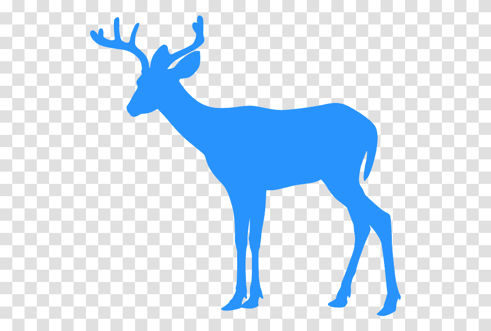 Deer Clip Art, Mammal, Animal, Wildlife, Person Transparent Png