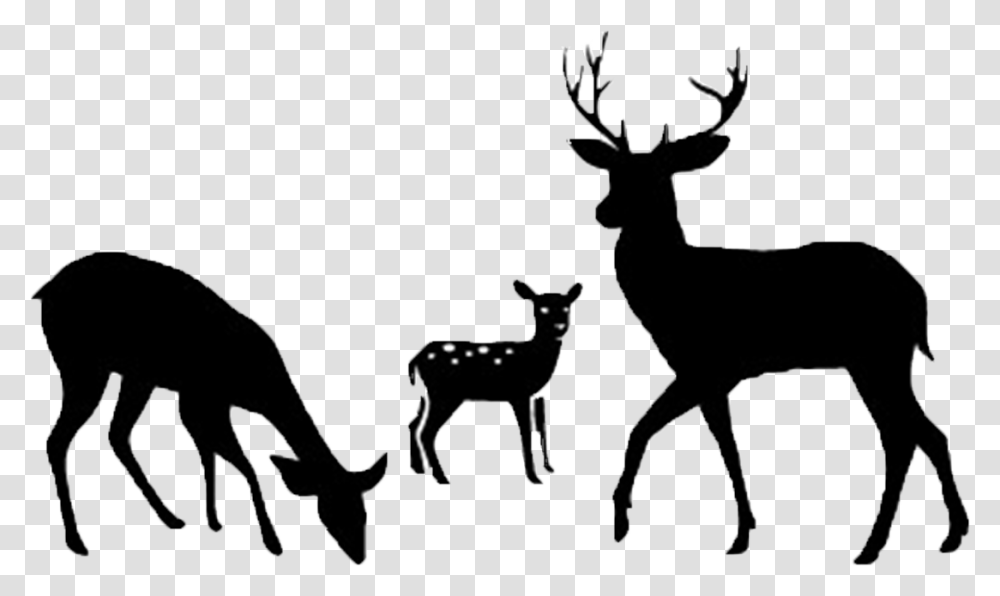 Deer Clip Art Silhouette Vector Graphics Portable Network Eat Sleep Hunt Svg, Wildlife, Mammal, Animal, Antelope Transparent Png
