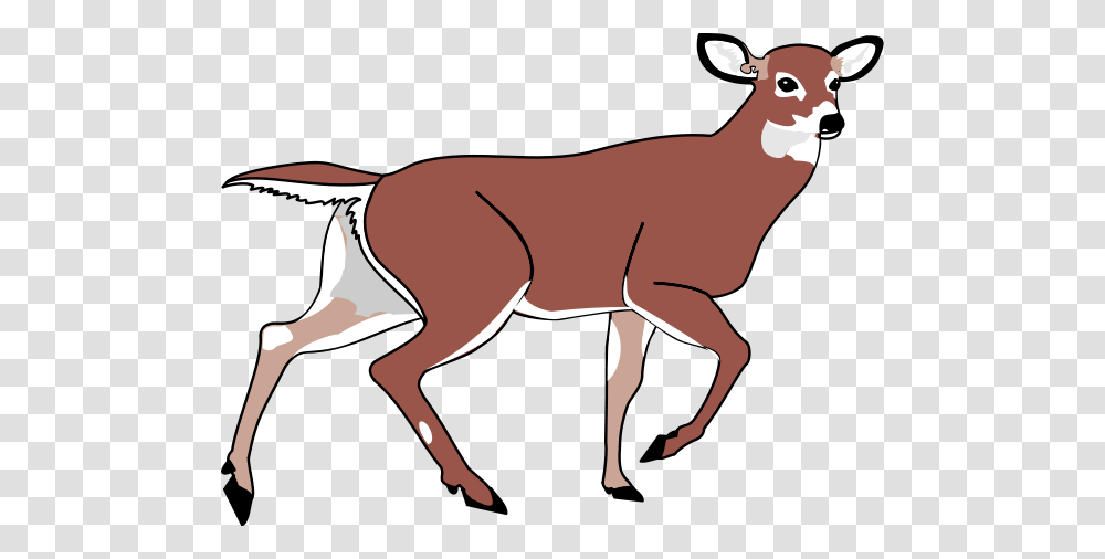 Deer Clip Arts For Web, Antelope, Wildlife, Mammal, Animal Transparent Png