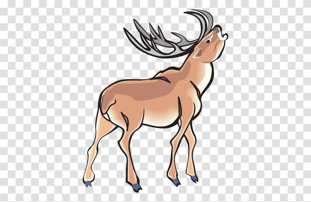 Deer Clipart Angry, Wildlife, Animal, Antelope, Mammal Transparent Png