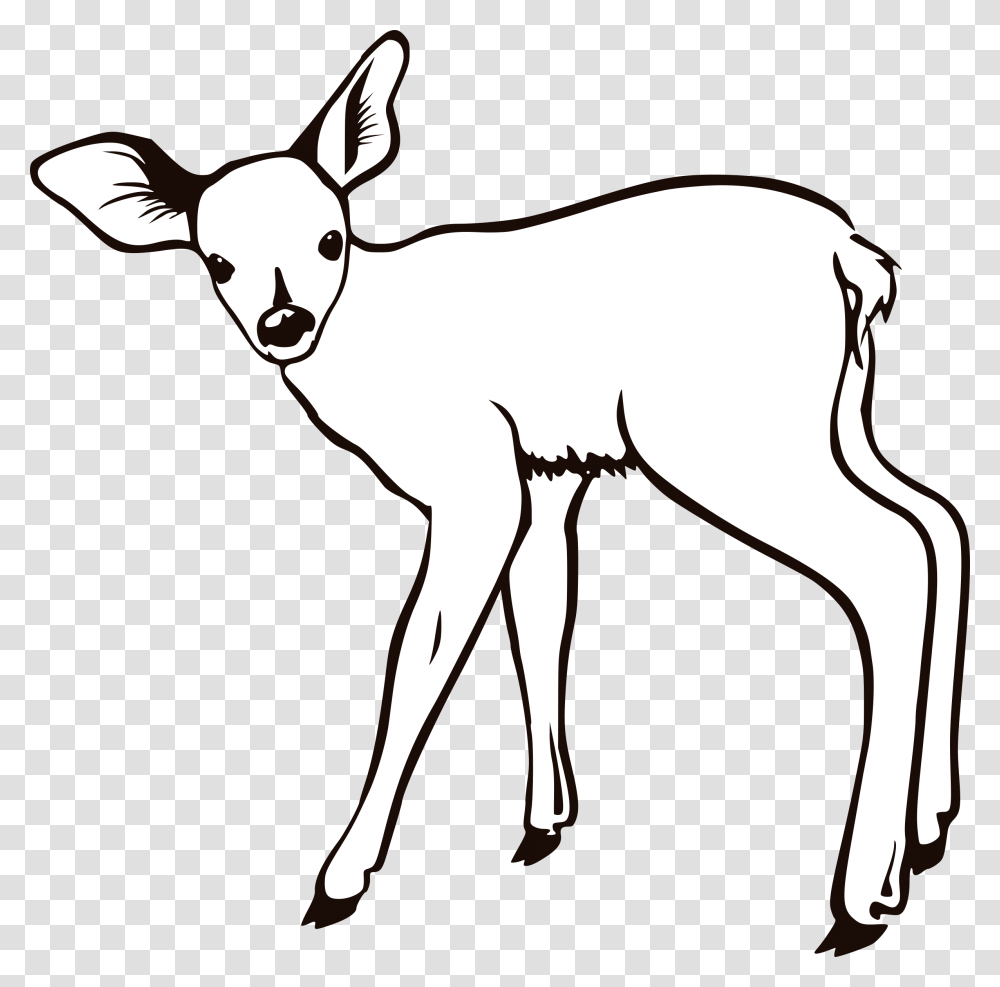 Deer Clipart Fawn Deer Outline, Mammal, Animal, Horse, Kangaroo Transparent Png