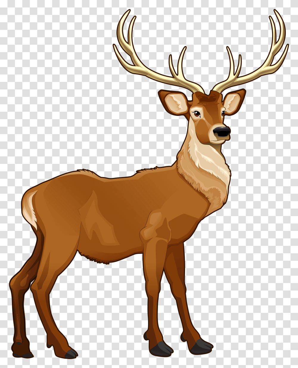 Deer Clipart Reindeer Clipart, Antelope, Wildlife, Mammal, Animal Transparent Png