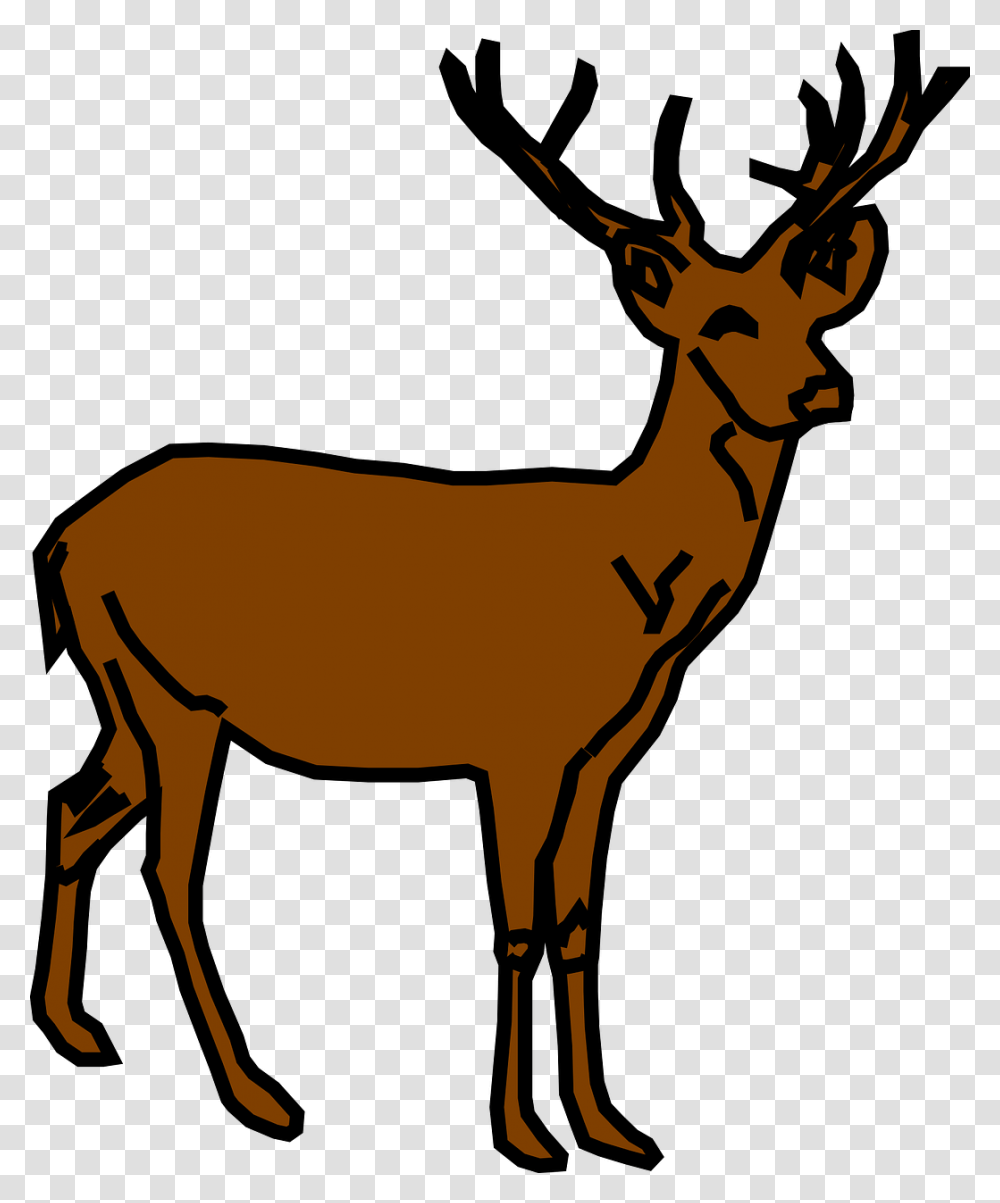 Deer Clipart, Wildlife, Mammal, Animal, Antelope Transparent Png