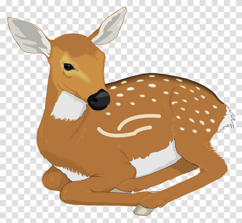 Deer Clipart, Wildlife, Mammal, Animal, Elk Transparent Png