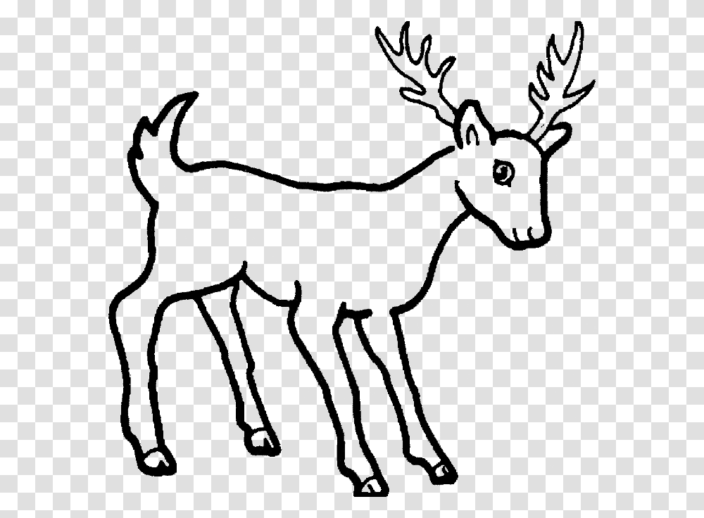 Deer Coloring Pages Coloring, Antelope, Wildlife, Mammal, Animal Transparent Png