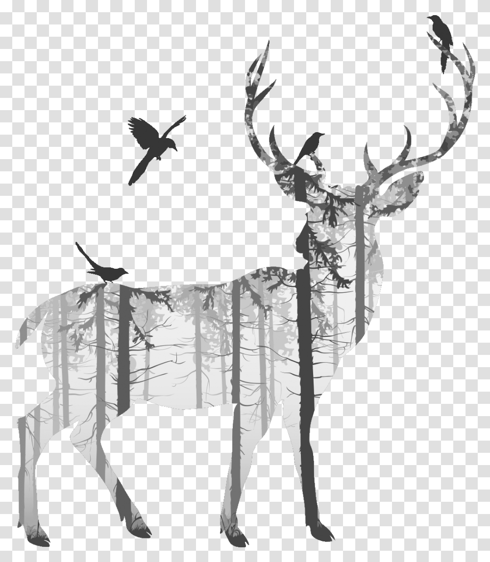 Deer Drawing, Wildlife, Mammal, Animal, Elk Transparent Png