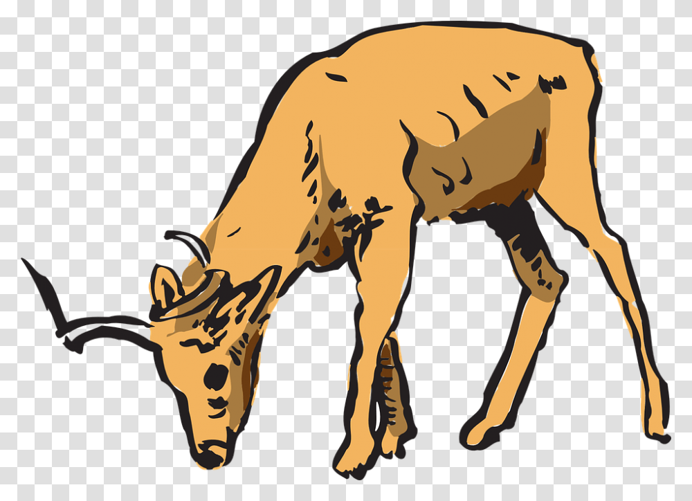 Deer Eating Clipart, Animal, Mammal, Cattle, Cow Transparent Png