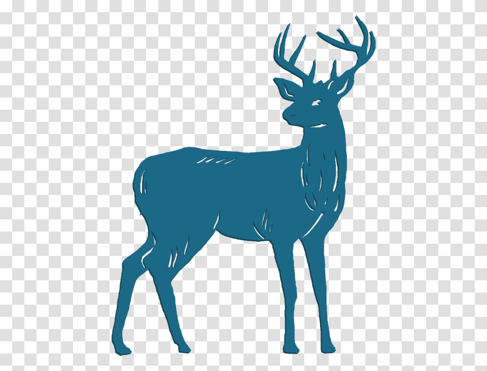 Deer, Elk, Wildlife, Mammal, Animal Transparent Png