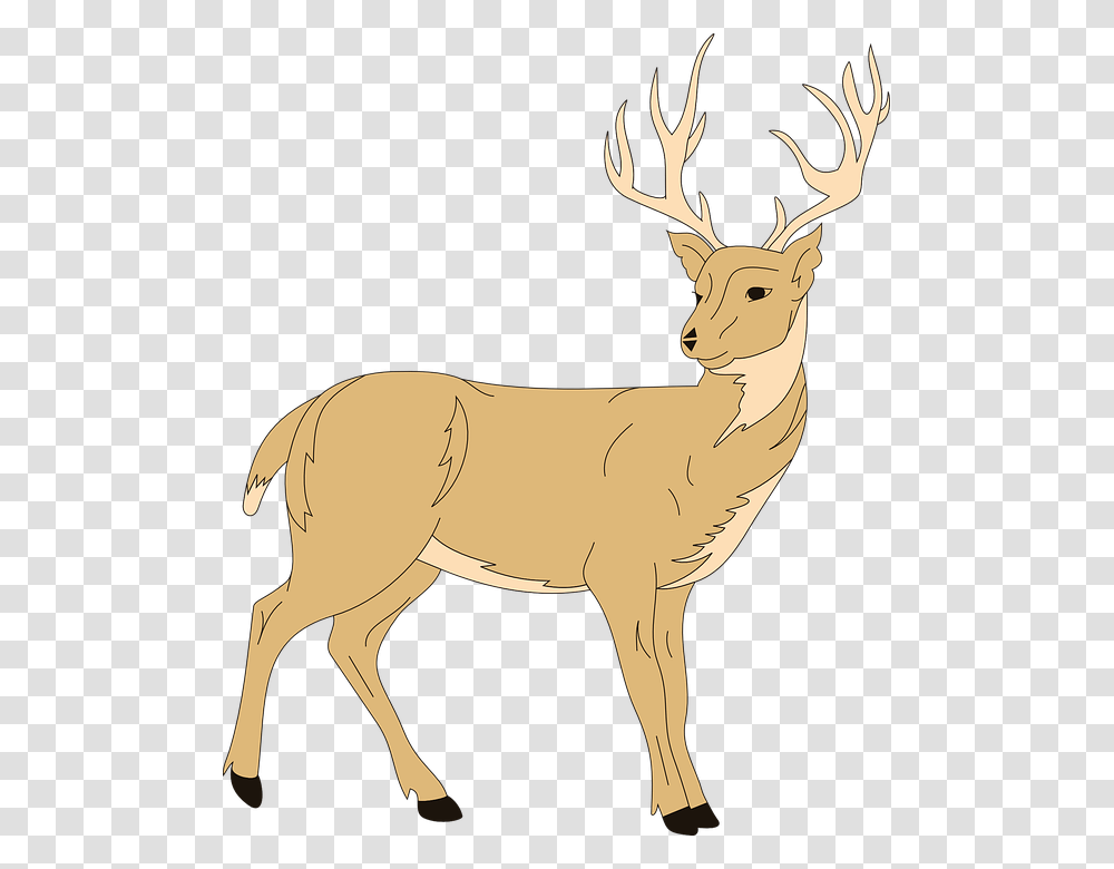 Deer Forest Animal Clip Art Of Deer, Elk, Wildlife, Mammal, Horse Transparent Png