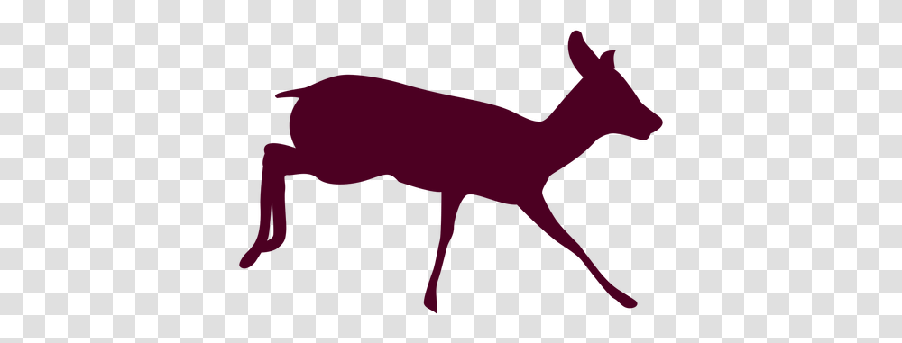 Deer Free Background Movida Lounge And Dining, Animal, Mammal, Horse, Wildlife Transparent Png