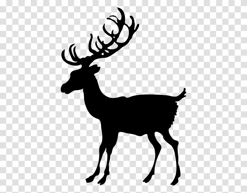 Deer, Gray, World Of Warcraft Transparent Png