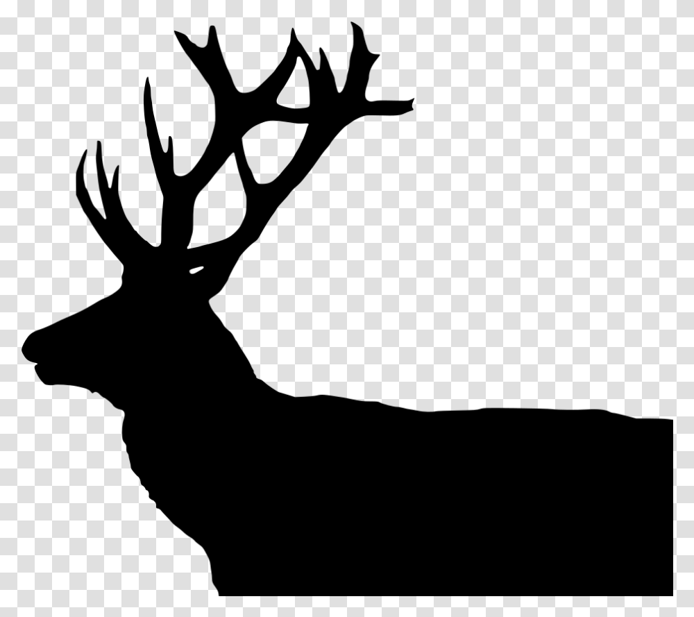 Deer, Gray, World Of Warcraft Transparent Png