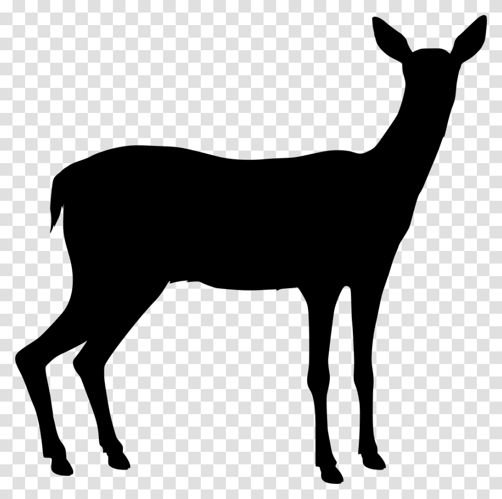 Deer, Gray, World Of Warcraft Transparent Png