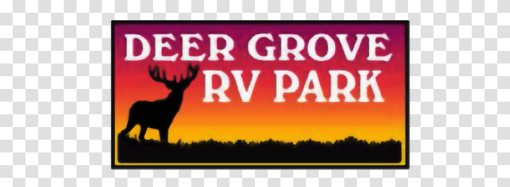 Deer Grove Burro, Sport, Poster, Advertisement Transparent Png