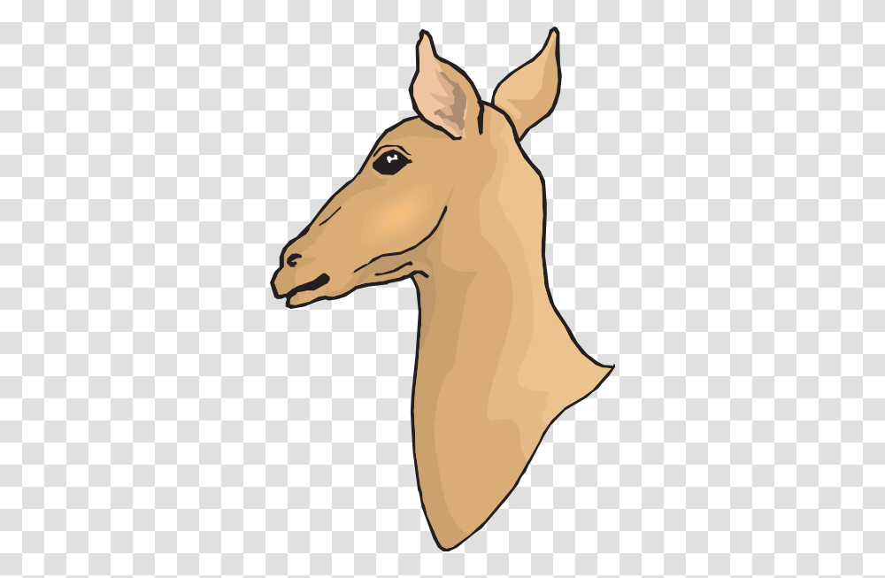Deer Head Clip Art, Mammal, Animal, Horse, Colt Horse Transparent Png