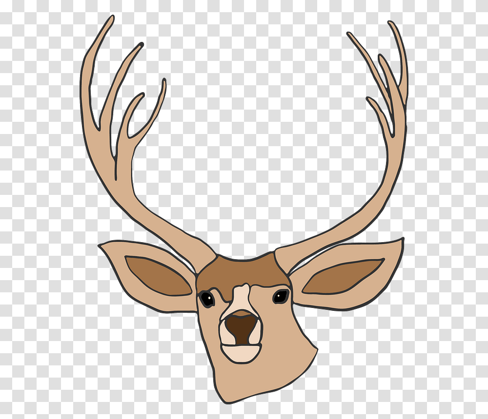 Deer Head Clipart Blue Circle, Antler, Wildlife, Mammal, Animal Transparent Png