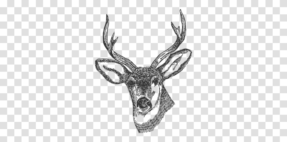 Deer Head Icons Kepala Rusa, Antler, Snake, Reptile, Animal Transparent Png