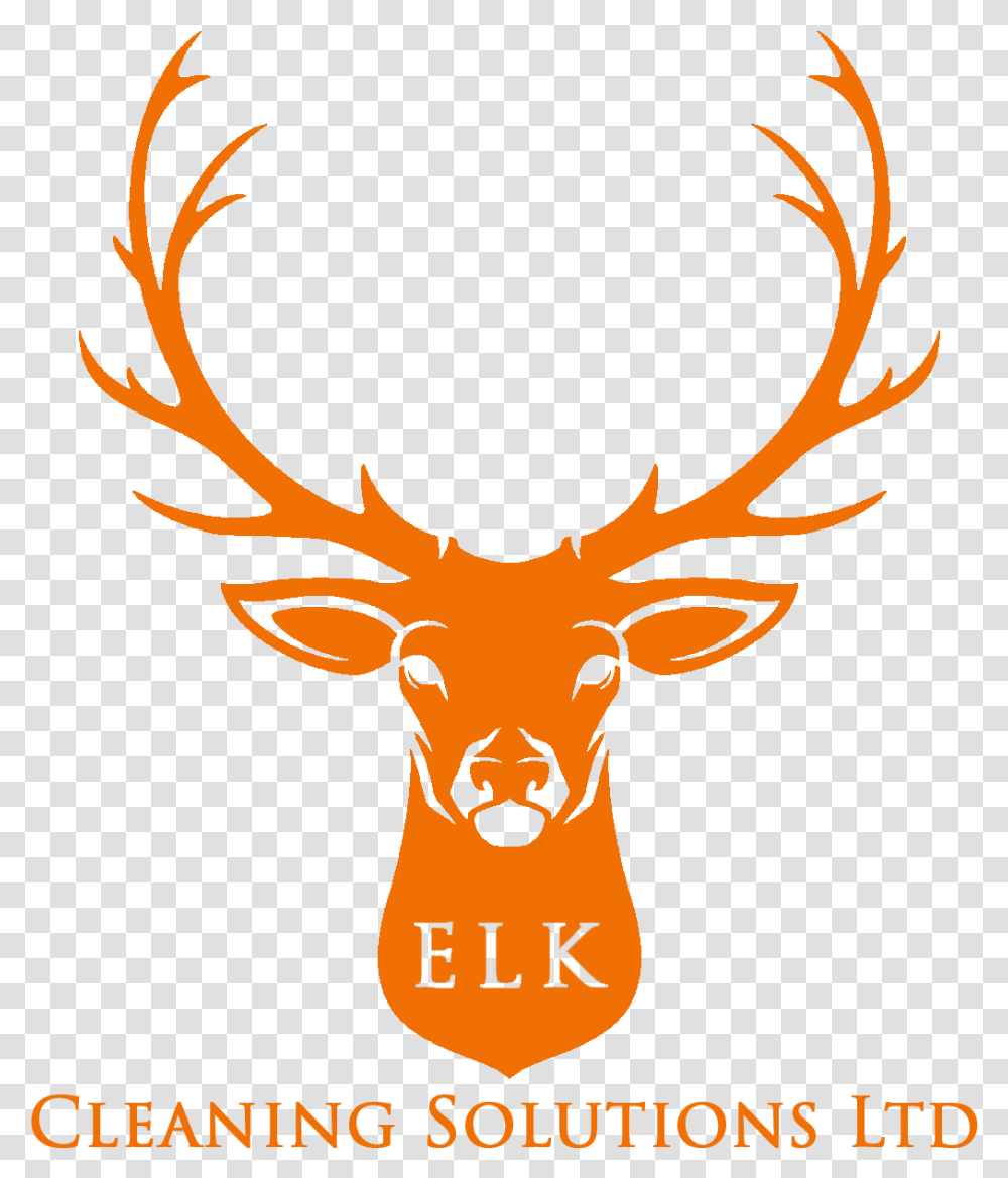 Deer Head Illustration Free Download 94.3 The Buck, Elk, Wildlife, Mammal, Animal Transparent Png