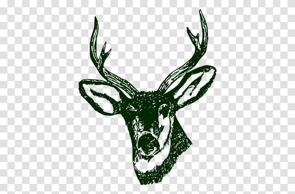 Deer Head Logo Stag Head Clipart, Wildlife, Mammal, Animal, Antler Transparent Png