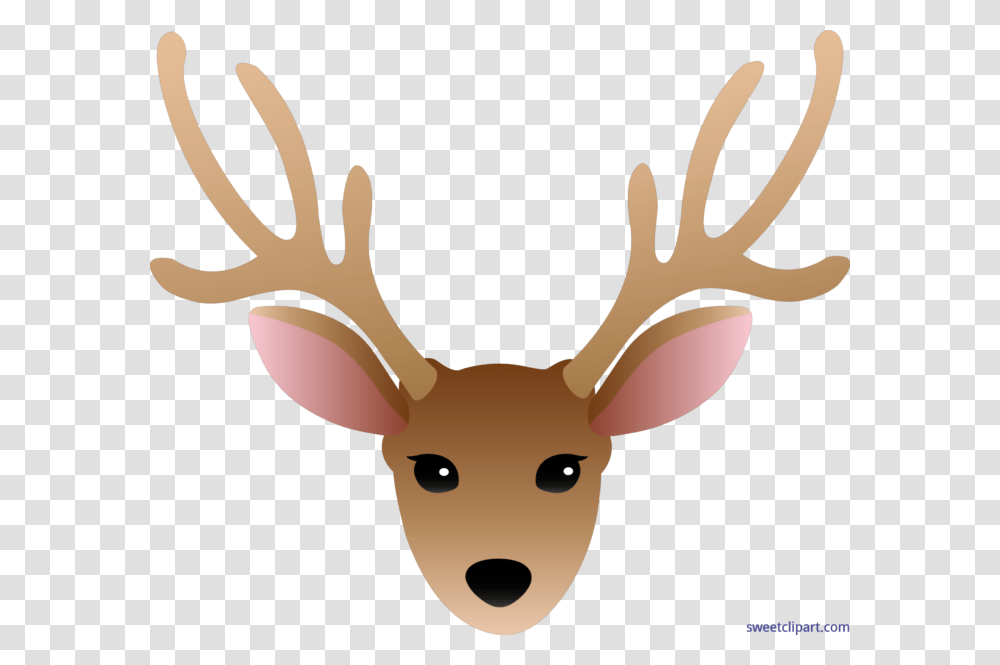 Deer Head Male Clip Art, Antler, Wildlife, Mammal, Animal Transparent Png