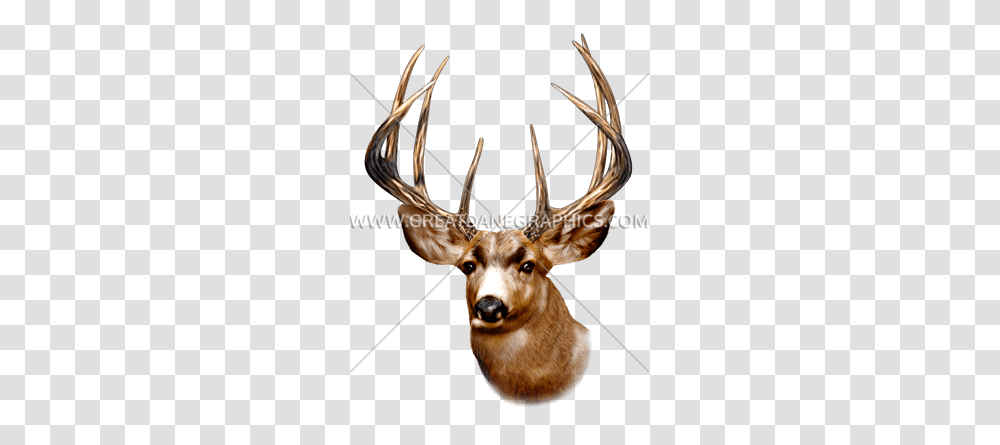 Deer Head Production Ready Artwork For T Shirt Printing, Wildlife, Mammal, Animal, Antelope Transparent Png