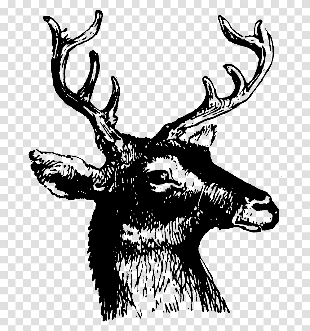 Deer Head Silhouette, Gray, World Of Warcraft Transparent Png
