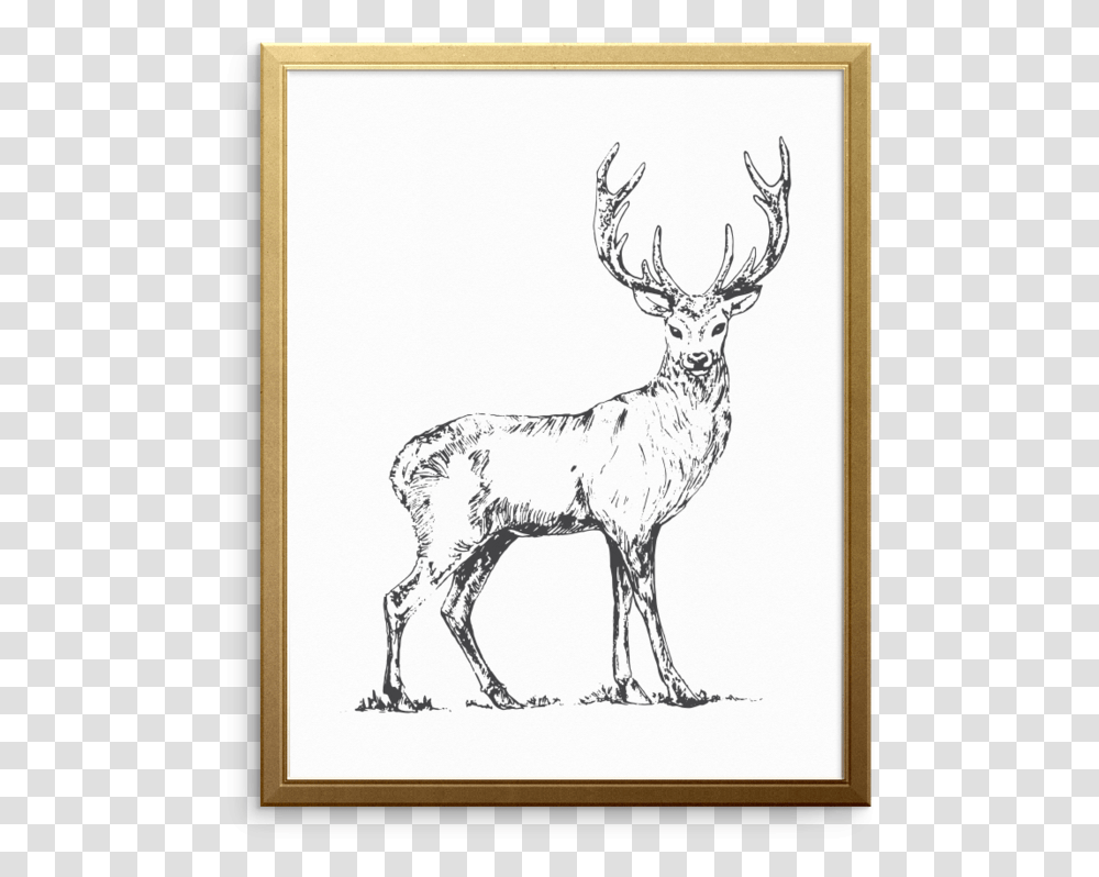 Deer Heart Art Print Elk, Wildlife, Mammal, Animal, Antelope Transparent Png