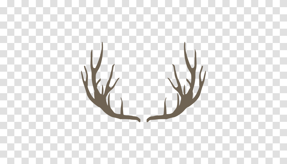 Deer Horn, Antler, Elk, Wildlife, Mammal Transparent Png