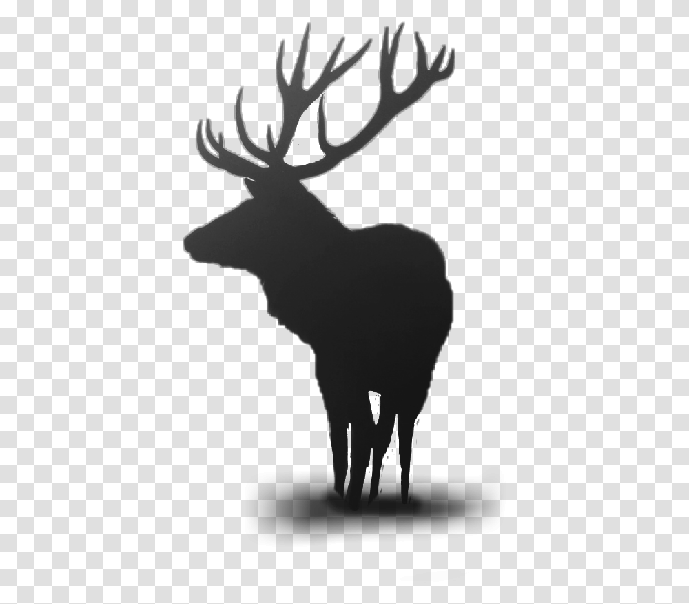 Deer Horns Horn Animals Animallover Dailyremixchallenge Elk Phone Background, Wildlife, Mammal, Silhouette, Moose Transparent Png