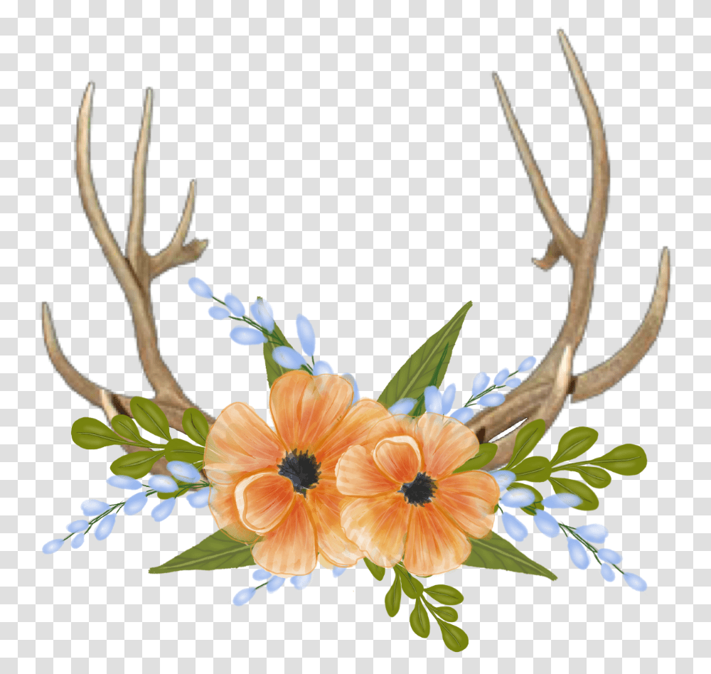 Deer Horns Portable Network Graphics, Floral Design, Pattern, Antler Transparent Png