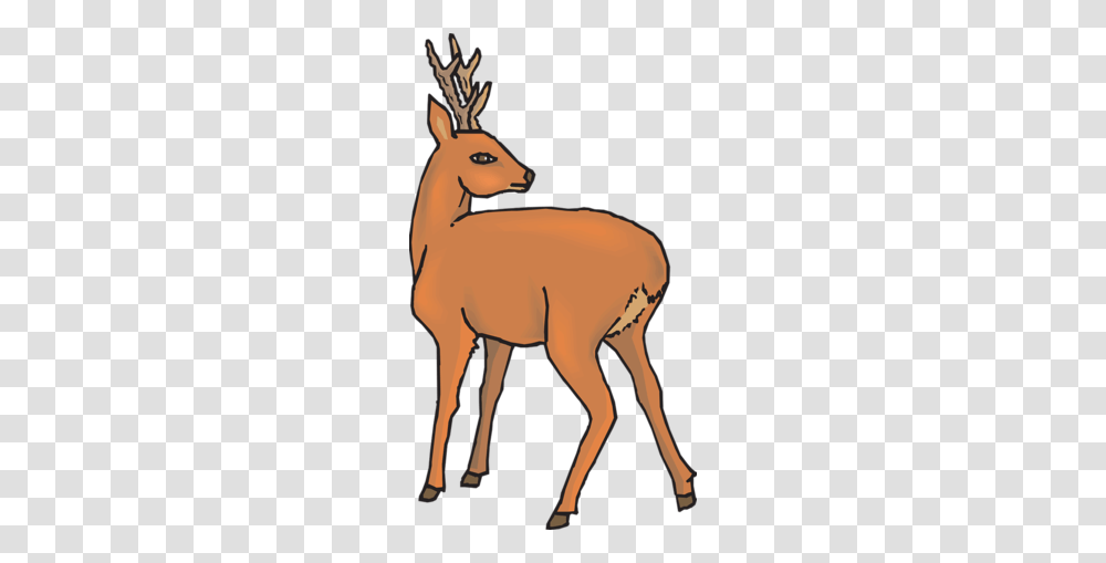 Deer Hunting Clip Art Clipart, Animal, Mammal, Wildlife Transparent Png