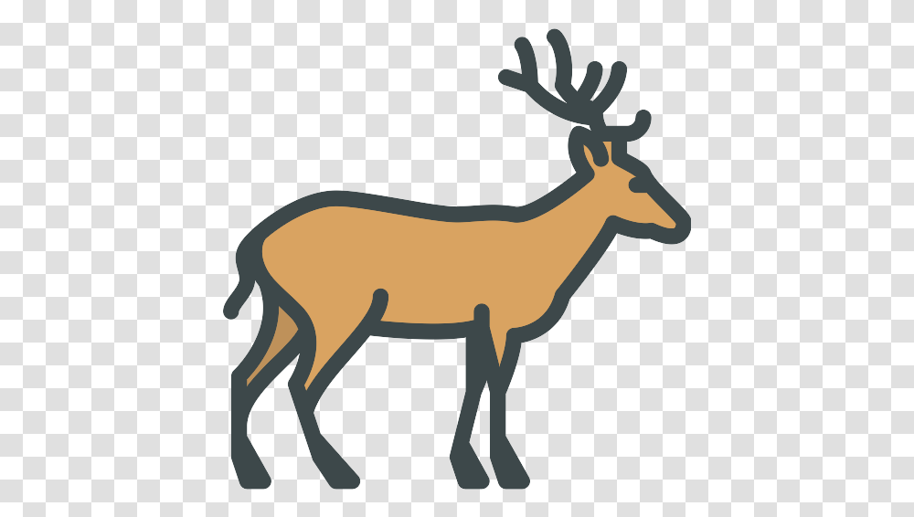 Deer Icon Animal Kingdom Clipart Black And White, Mammal, Wildlife, Elk, Horse Transparent Png