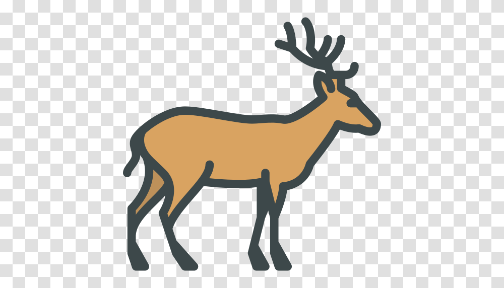 Deer Icon, Elk, Wildlife, Mammal, Animal Transparent Png