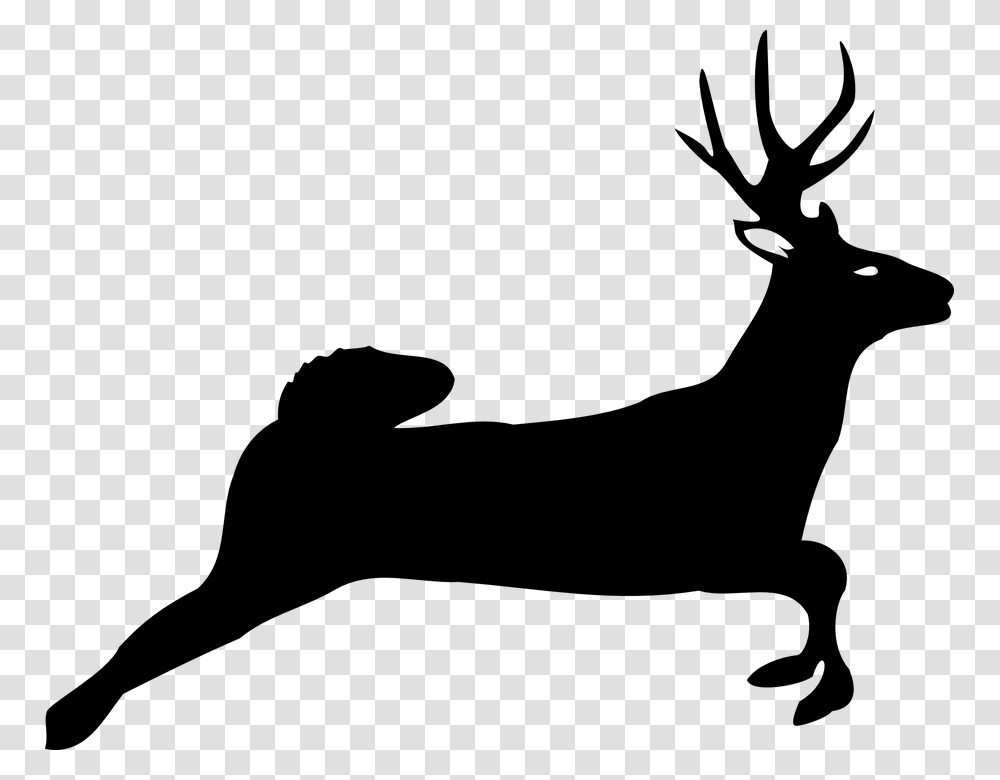 Deer Jumping White Tailed Deer Silhouette, Gray, World Of Warcraft Transparent Png