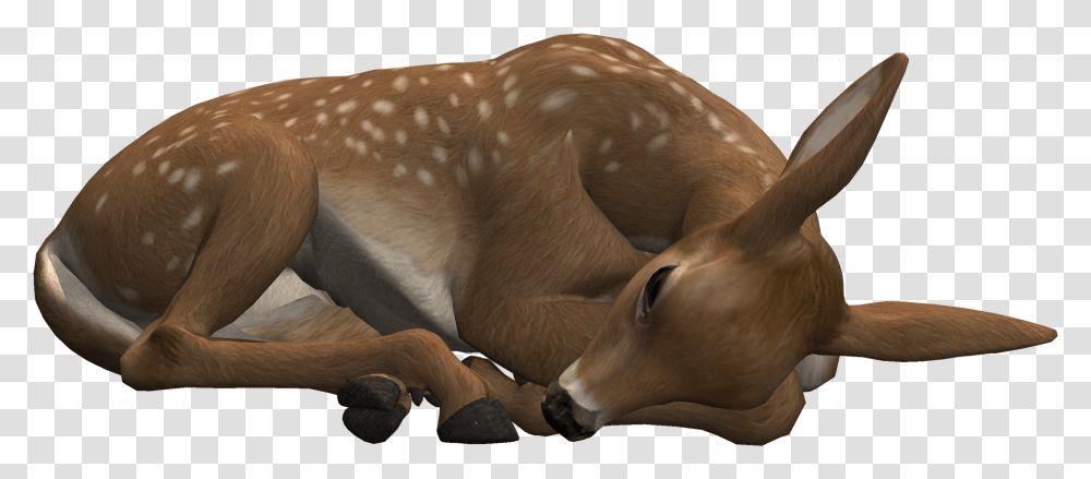 Deer Lying Down Background Rhinoceros, Mammal, Animal, Elephant, Wildlife Transparent Png