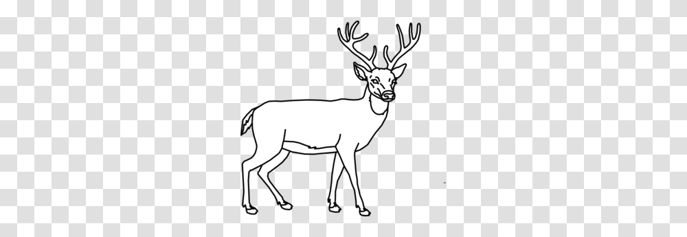 Deer Outline Clip Art, Mammal, Animal, Wildlife, Elk Transparent Png
