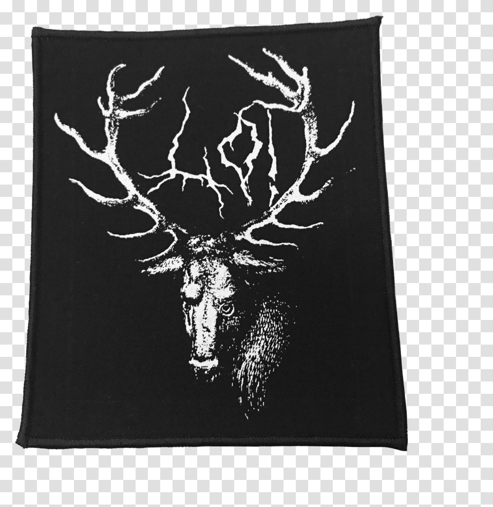 Deer Patch, Antler, Wildlife, Mammal, Animal Transparent Png