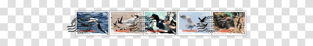 Deer, Postage Stamp, Chicken, Poultry, Fowl Transparent Png