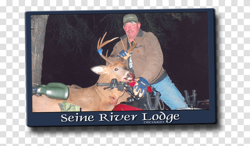 Deer Rack Deer Hunting, Person, Wildlife, Mammal, Animal Transparent Png